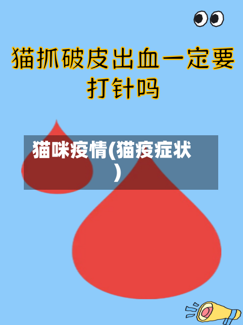 猫咪疫情(猫疫症状)-第1张图片