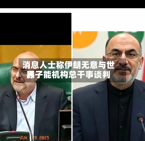 消息人士称伊朗无意与世界
原子能机构总干事谈判